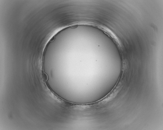 X0000116040860200912041810