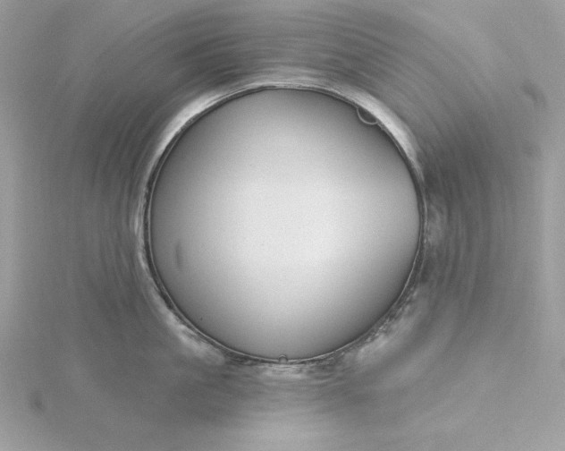 X0000116040861200912041810