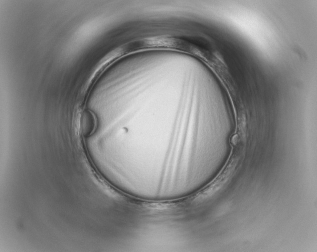 X0000116040862200912041810