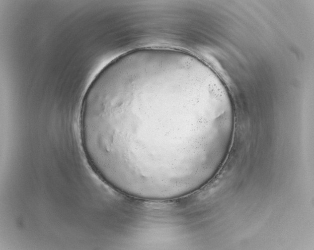 X0000116040863200912041810