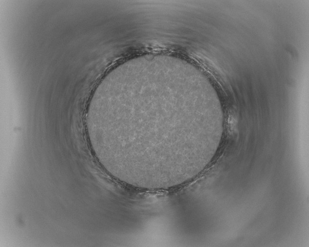 X0000116040865200912041810