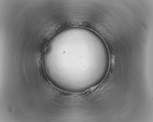 X0000116040867200912041810