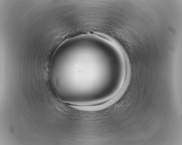 X0000116040868200912041810