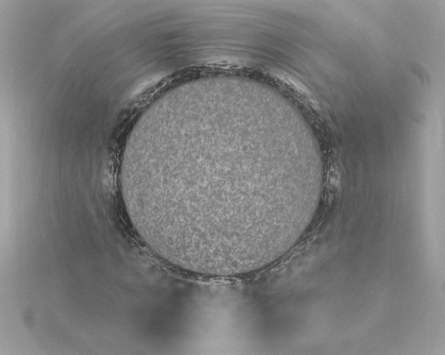 X0000116040869200912041810