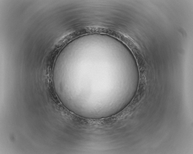 X0000116040870200912041810