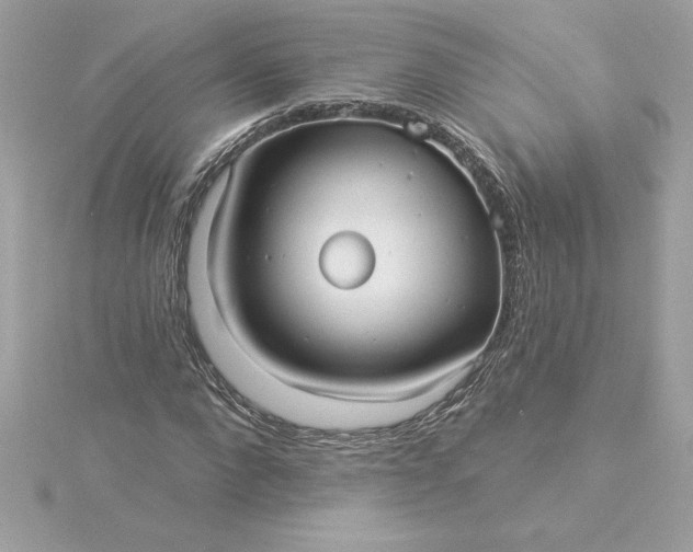 X0000116040872200912041810