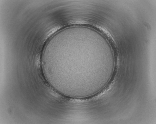 X0000116040873200912041810