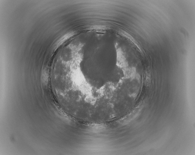 X0000116040874200912041810