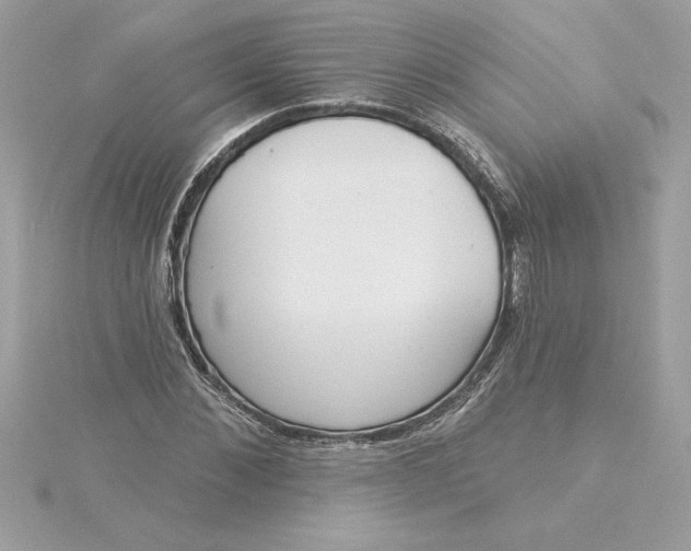 X0000116040876200912041810