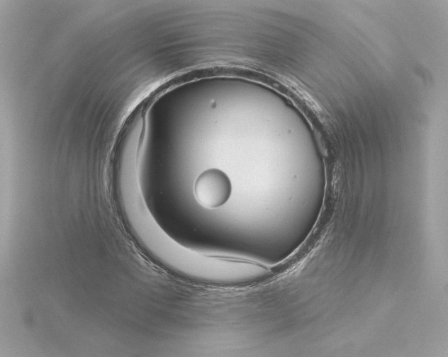 X0000116040877200912041810