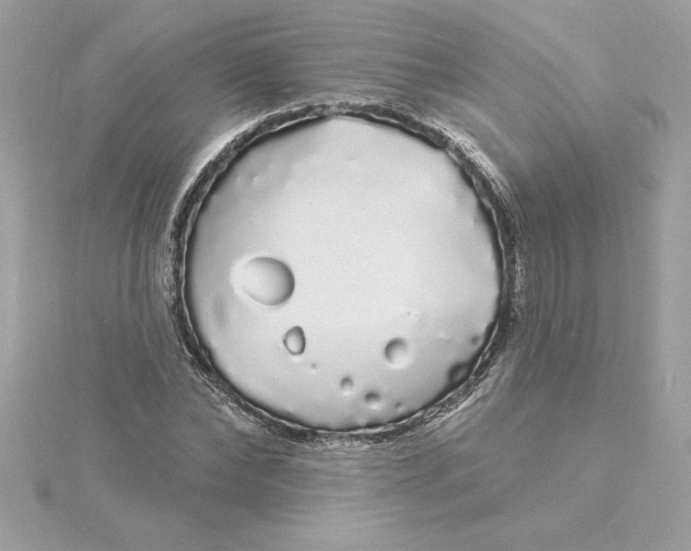 X0000116040878200912041810