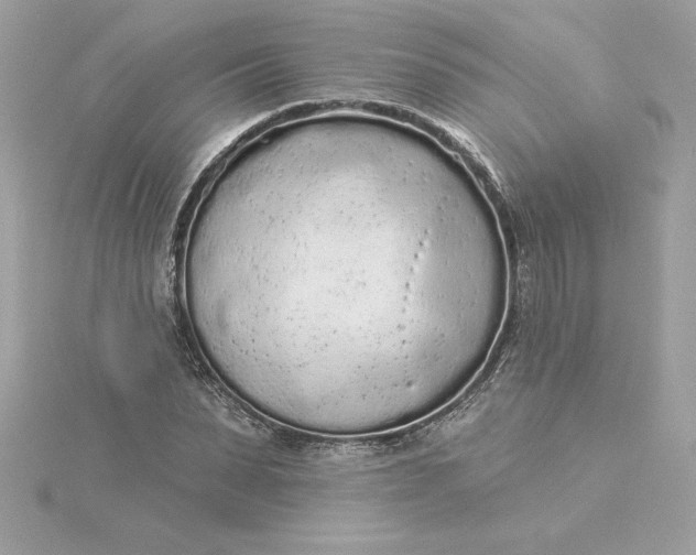 X0000116040879200912041810