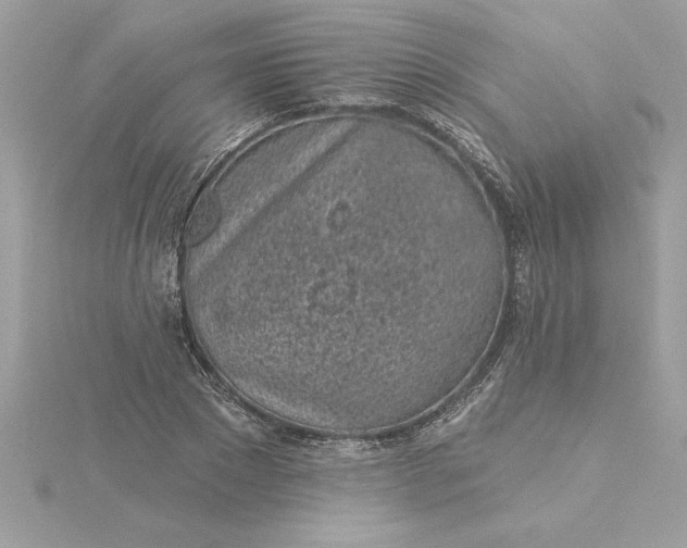 X0000116040881200912041809