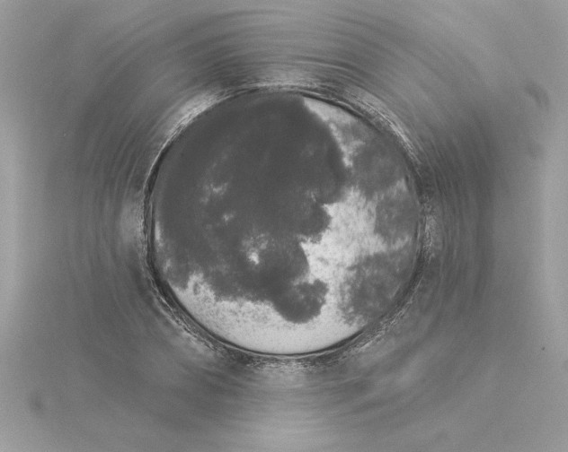 X0000116040882200912041809