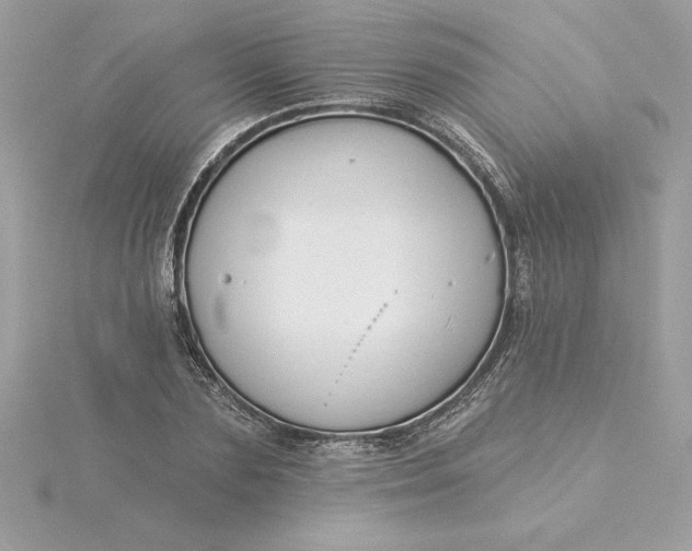 X0000116040883200912041809