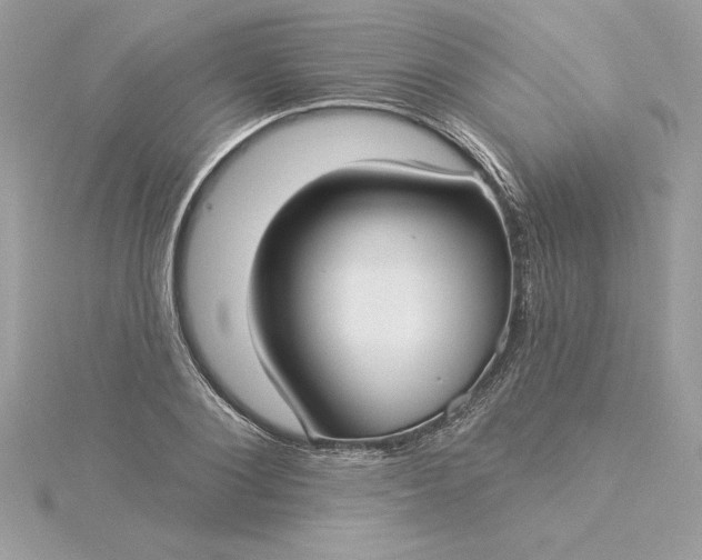 X0000116040884200912041809