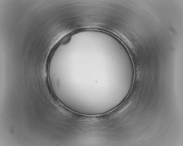 X0000116040885200912041809