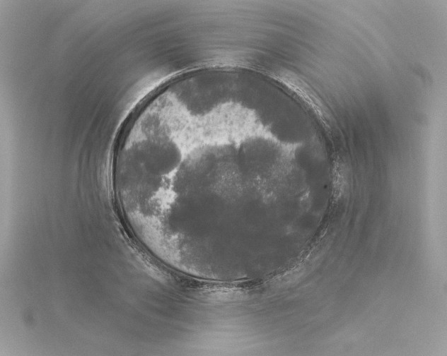 X0000116040886200912041809