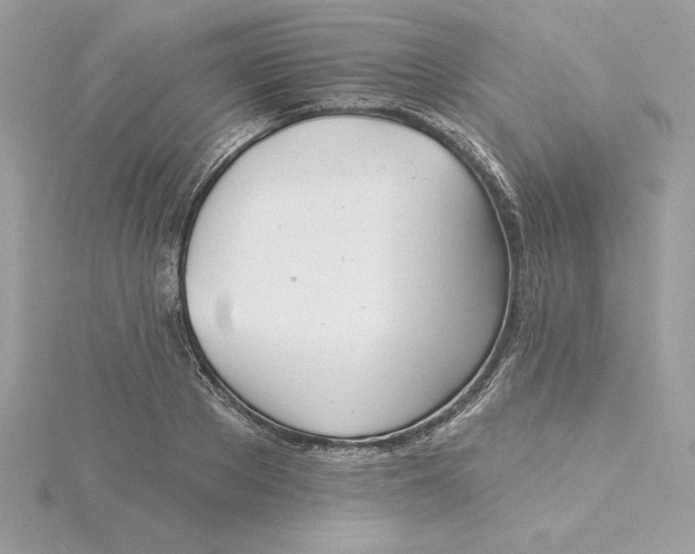 X0000116040889200912041809