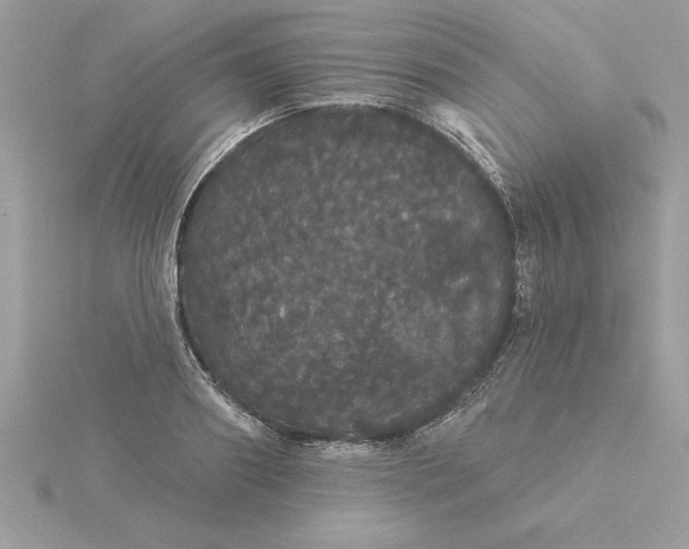 X0000116040890200912041809