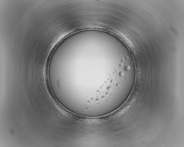 X0000116040893200912041809