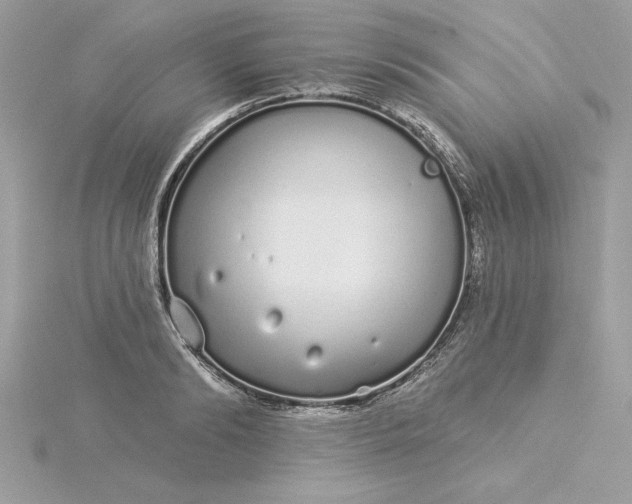 X0000116040894200912041809