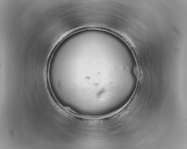 X0000116040895200912041809