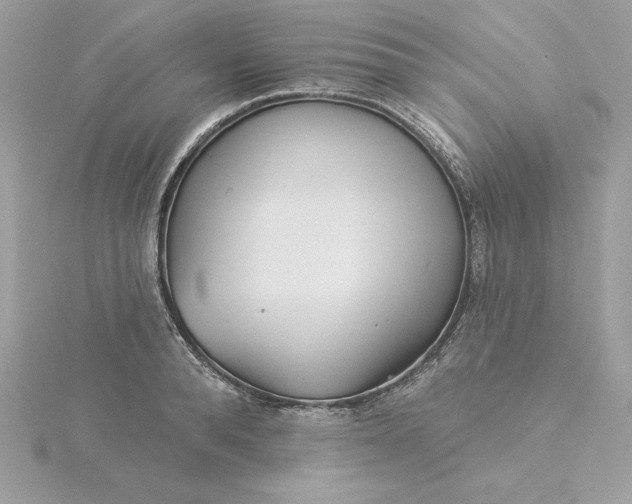 X0000116040896200912041809