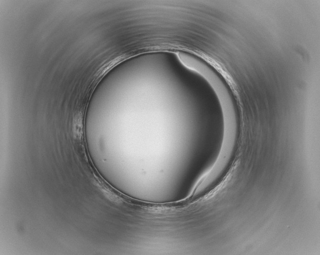 X0000116040897200912041809