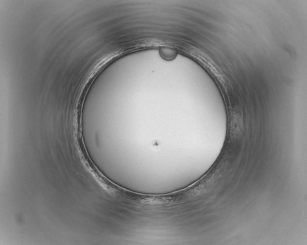 X0000116040898200912041809