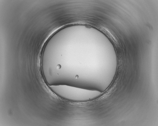 X0000116040900200912041809