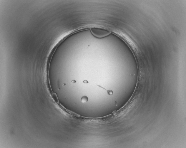 X0000116040902200912041809