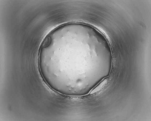 X0000116040903200912041809