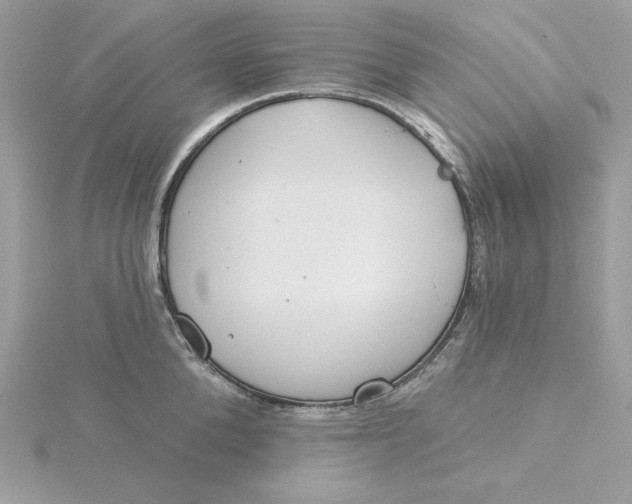 X0000116040904200912041809