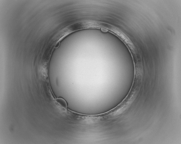 X0000116040905200912041809