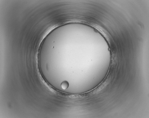 X0000116040906200912041809