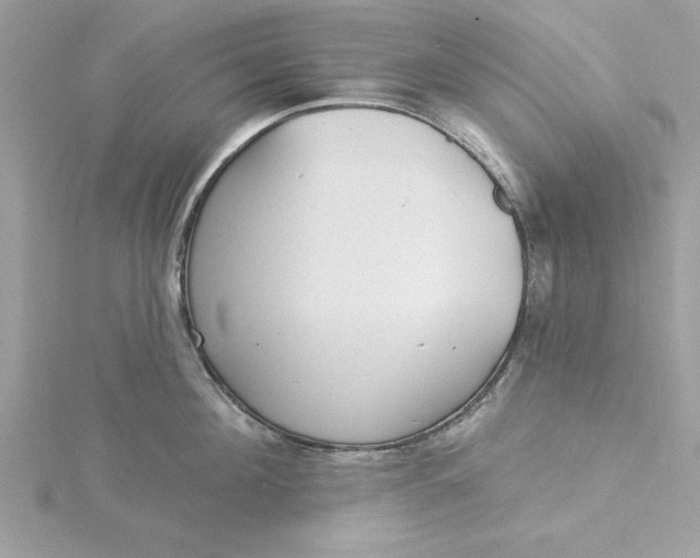 X0000116040908200912041809