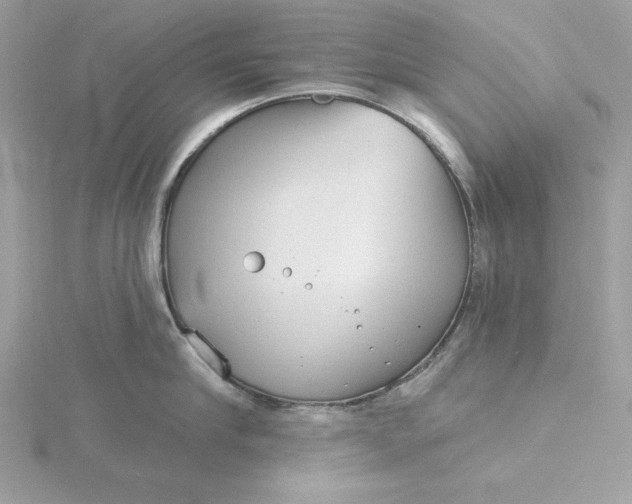 X0000116040910200912041809