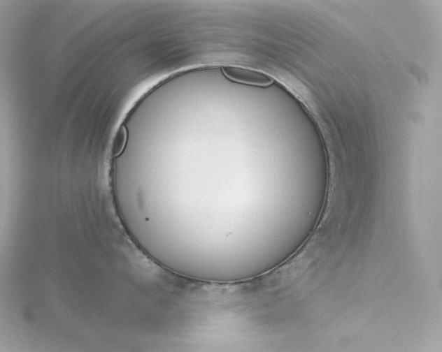 X0000116040912200912041809