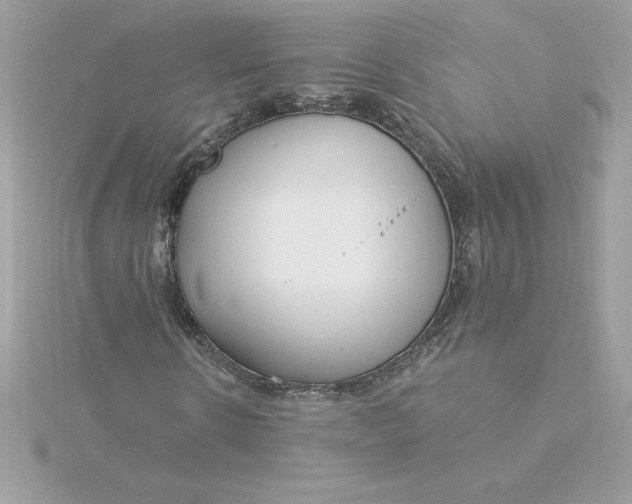 X0000116040914200912041808