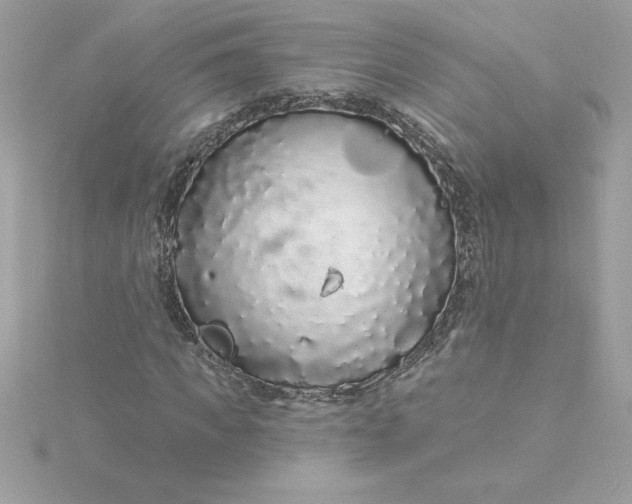 X0000116040917200912041809