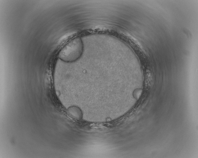 X0000116040918200912041809