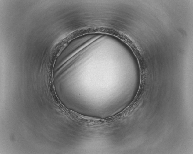 X0000116040919200912041809