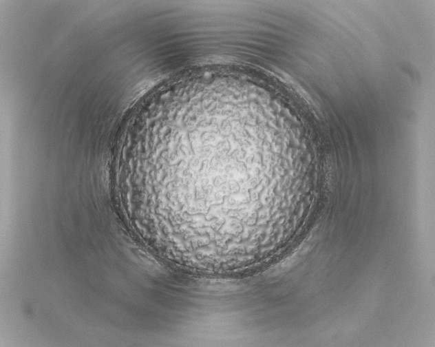 X0000116040921200912041809