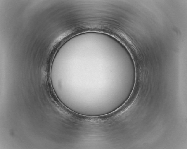 X0000116040922200912041809