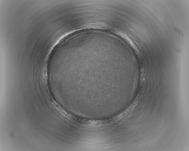 X0000116040923200912041809