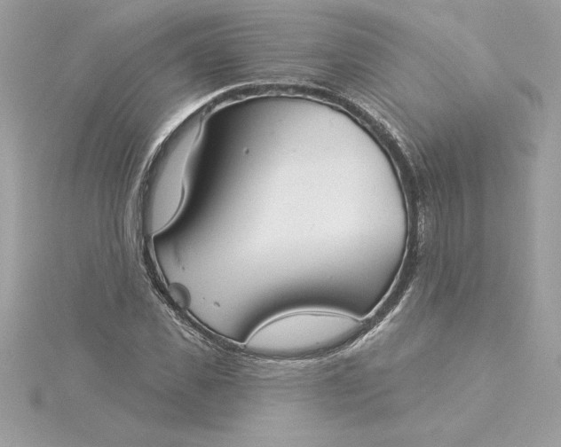 X0000116040925200912041809