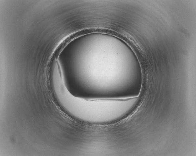 X0000116040926200912041809