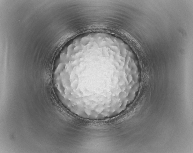 X0000116040929200912041809