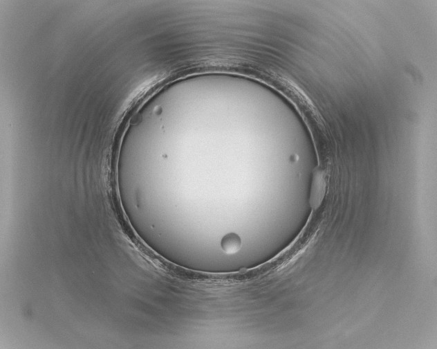 X0000116040930200912041809